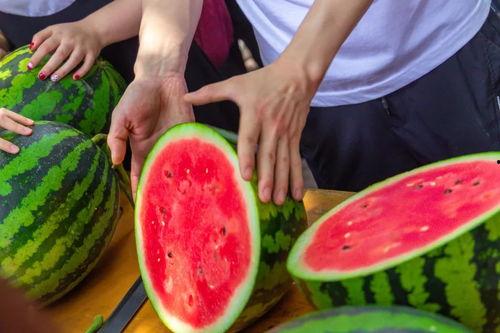 荣宝斋吃瓜视频下载免费,揭秘古董界的趣味瞬间